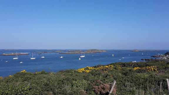 belle vue de la lande