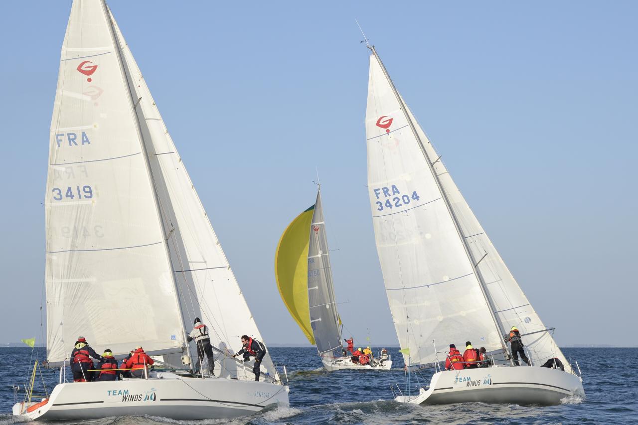 _DSC4608-cs4