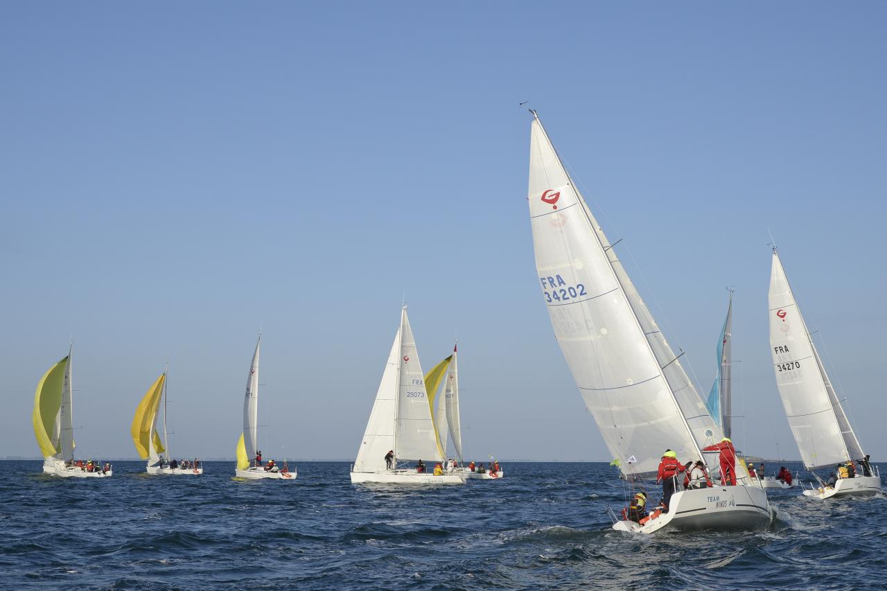 _DSC4613-cs4