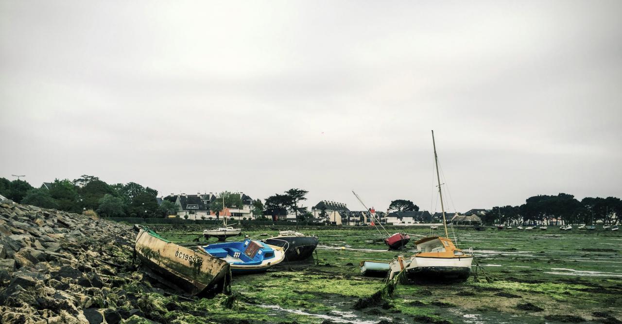 marée basse